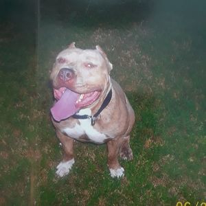 Meet your Posher, Cortney